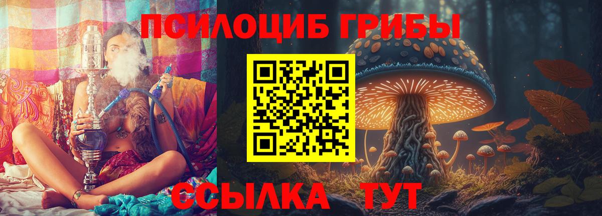 Псилоцибиновые грибы ЛСД Тихвин