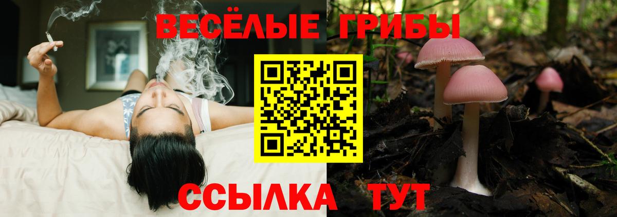 Галлюциногенные грибы мицелий  Вход с VPN  Псилоцибиновые грибы Magic Shrooms  Тихвин 